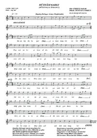 Fikriye Sakar BOŞALIP DOLUYOR AMAN MEYHANELER (Hüzzam çal kemancı) 23.jpg